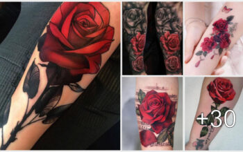 Hermosas Ideas tatuajes de rosas rojas Hermosas Ideas tatuajes de rosas rojas